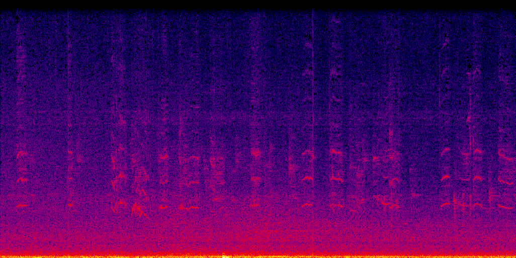 spectrogram