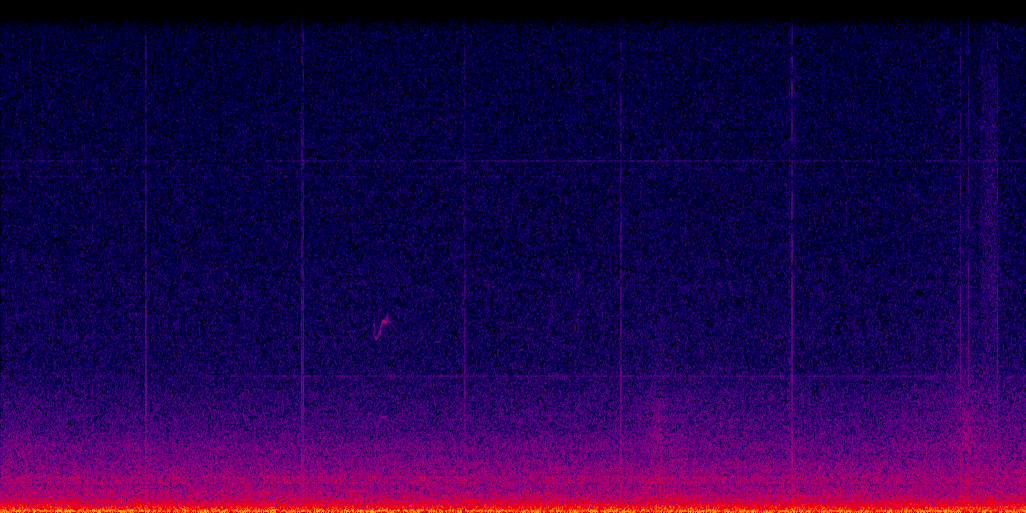 spectrogram