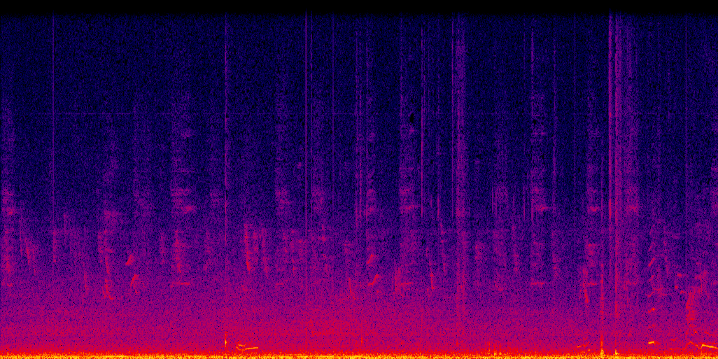 spectrogram