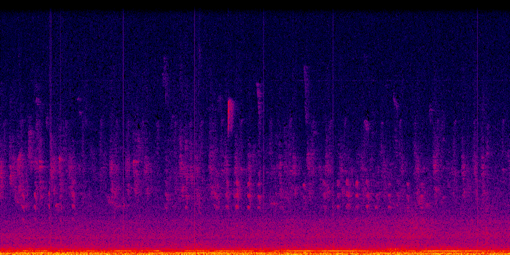 spectrogram