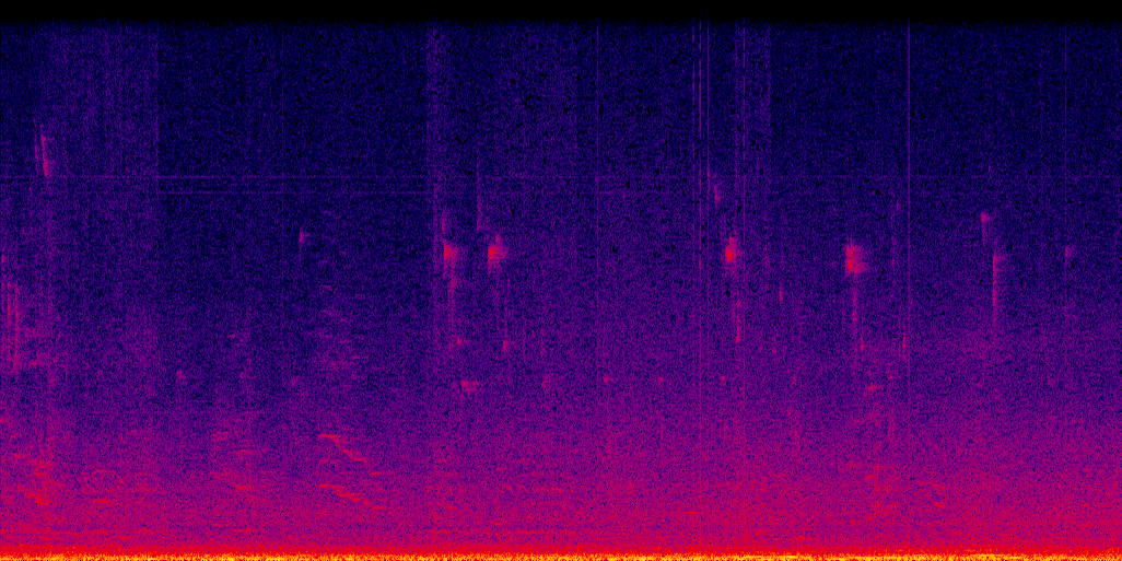 spectrogram