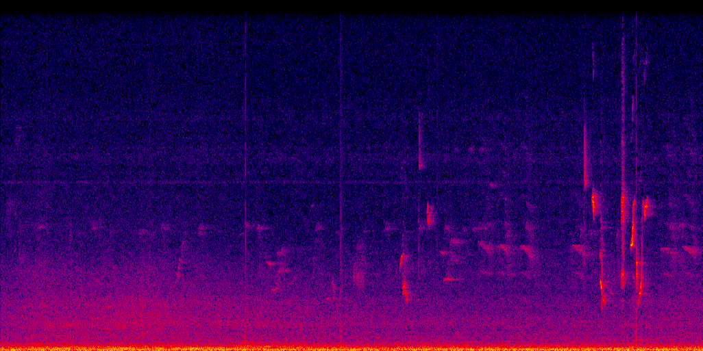 spectrogram