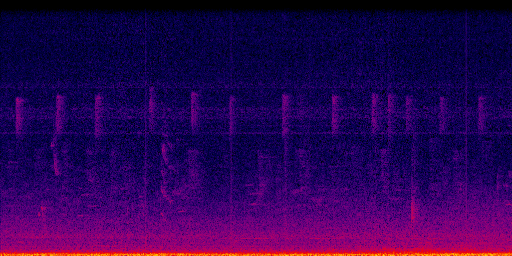 spectrogram