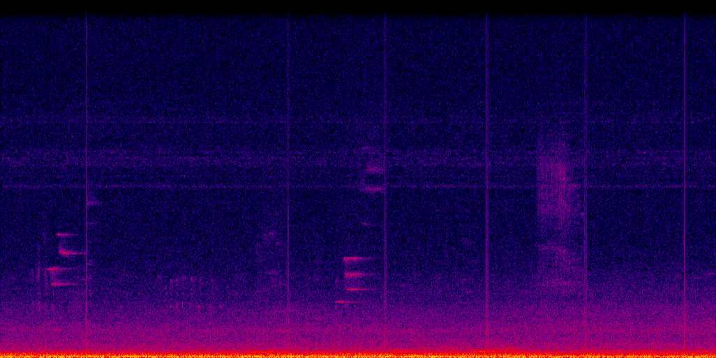 spectrogram