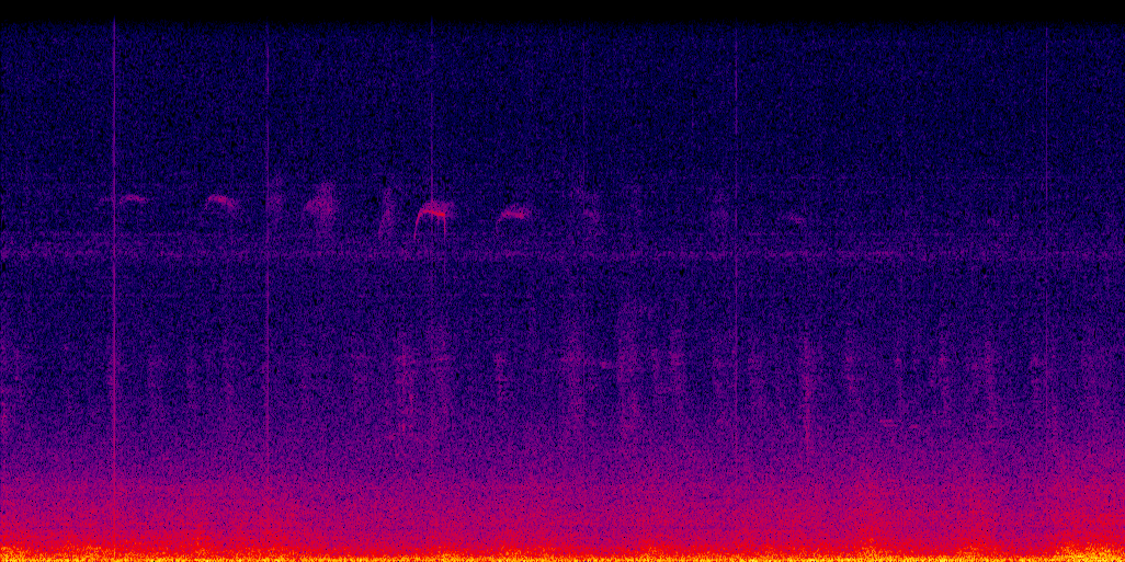 spectrogram