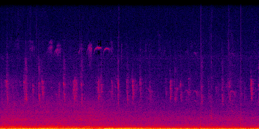 spectrogram
