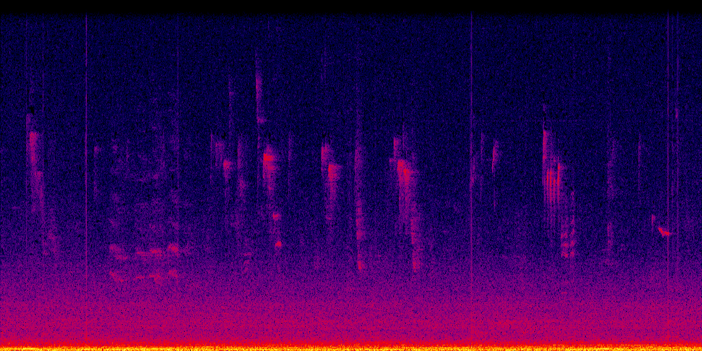 spectrogram