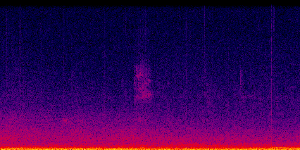 spectrogram