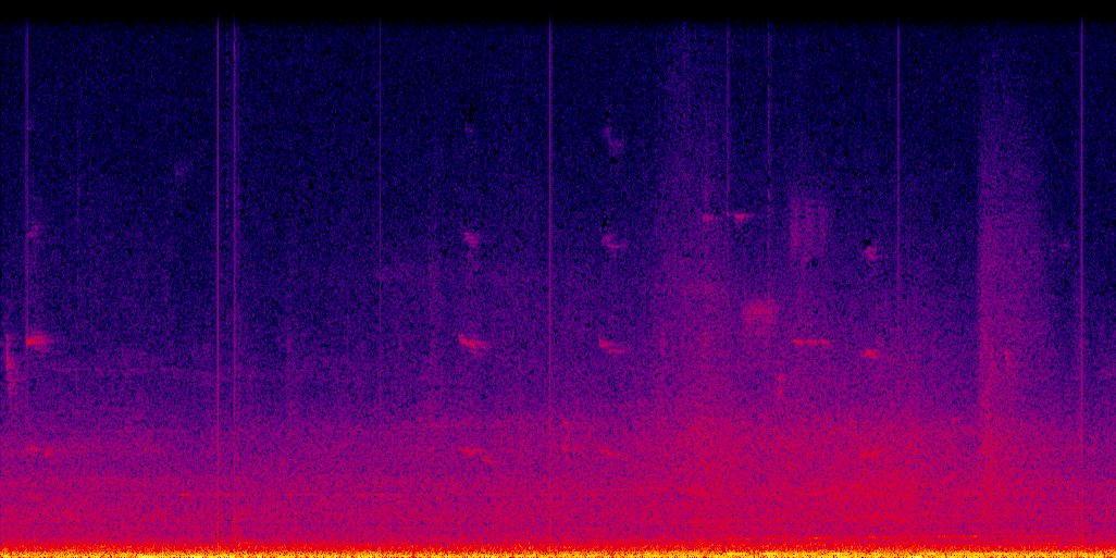 spectrogram