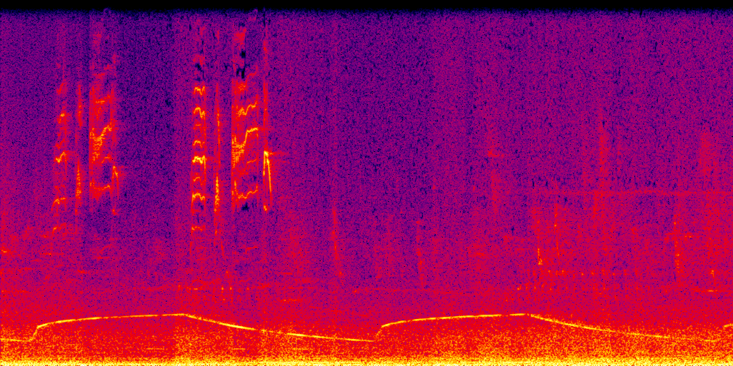 spectrogram