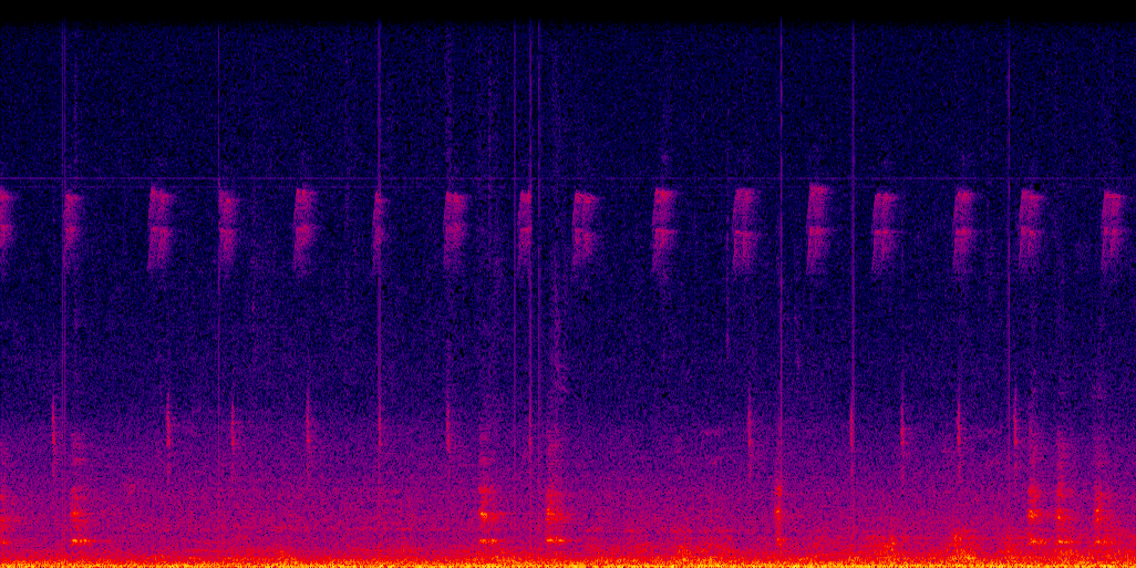 spectrogram