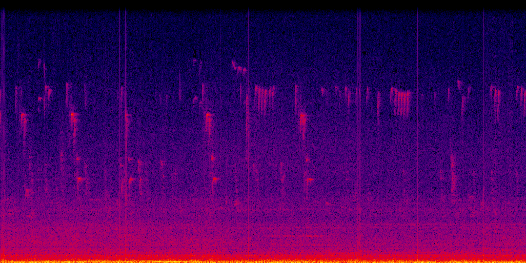 spectrogram
