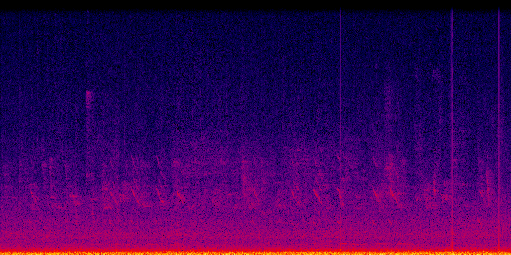 spectrogram