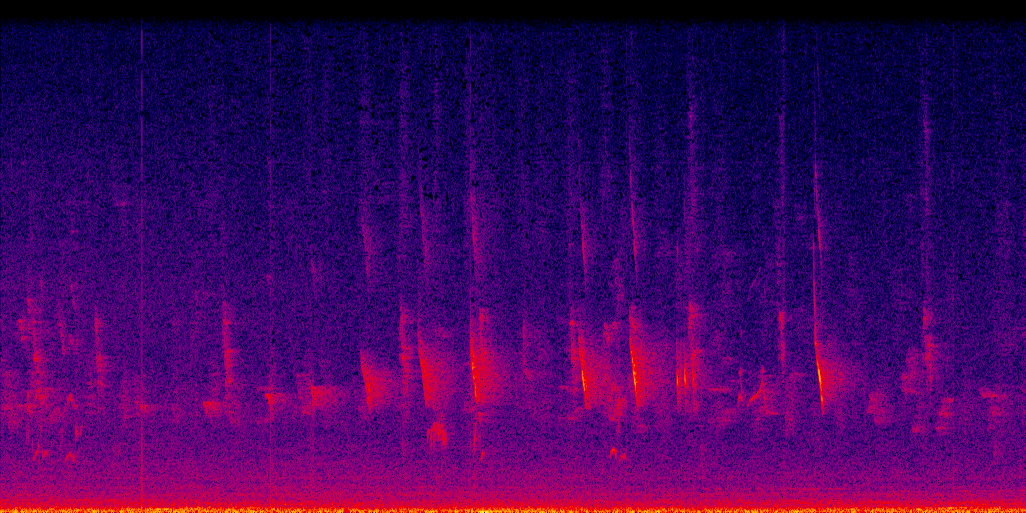 spectrogram