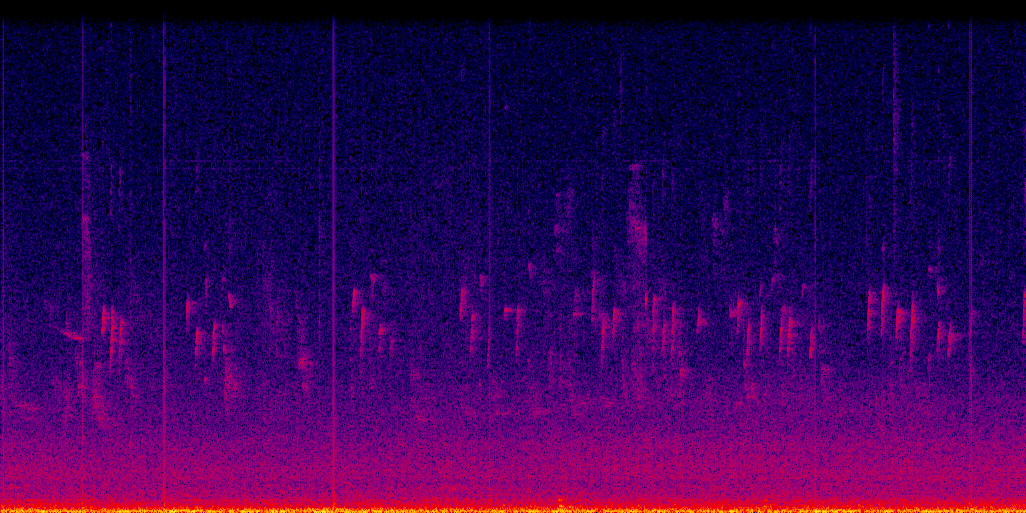 spectrogram