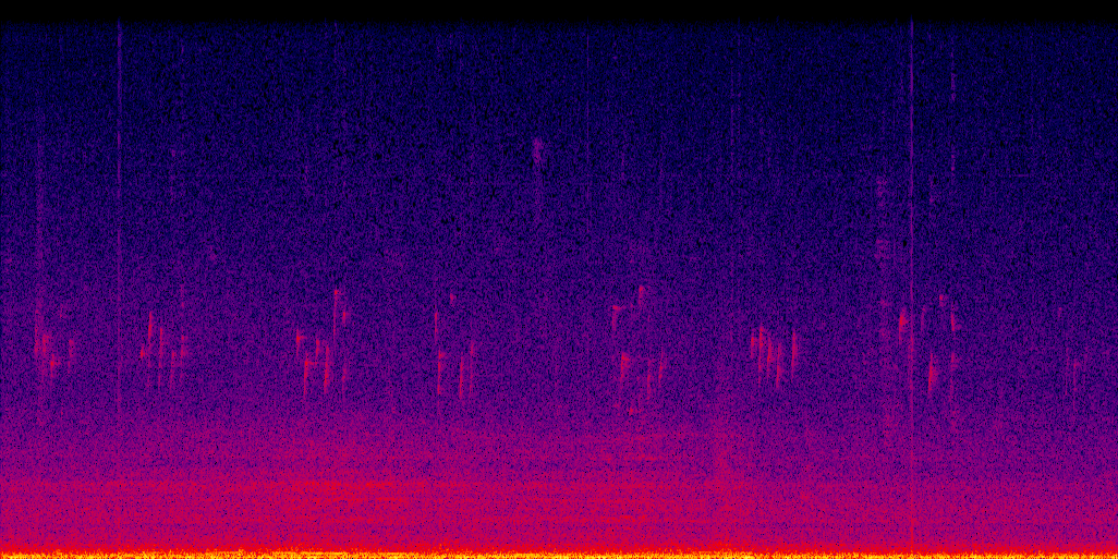 spectrogram