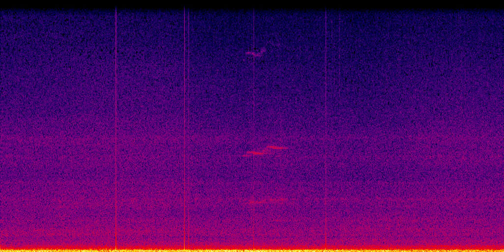 spectrogram
