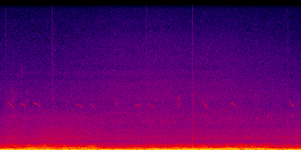 spectrogram