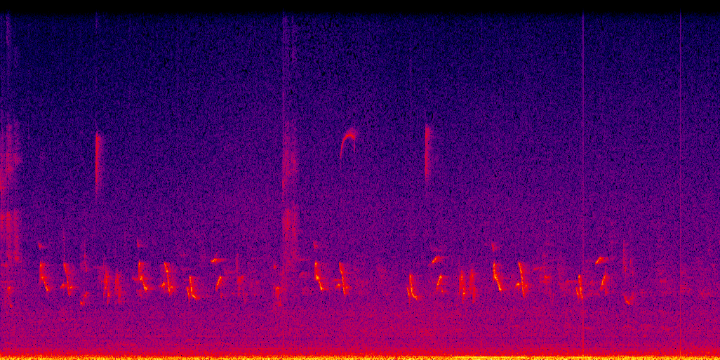 spectrogram