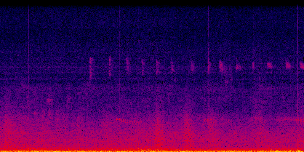 spectrogram