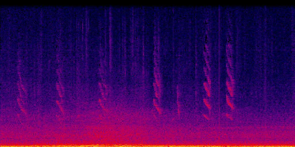 spectrogram