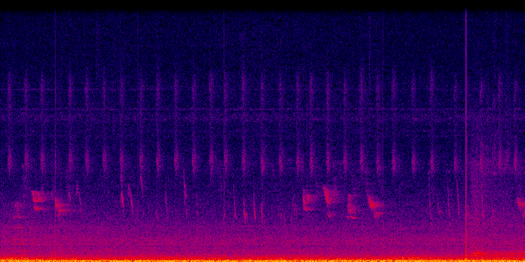 spectrogram