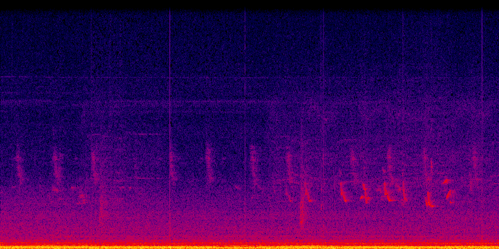spectrogram