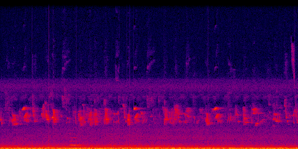 spectrogram