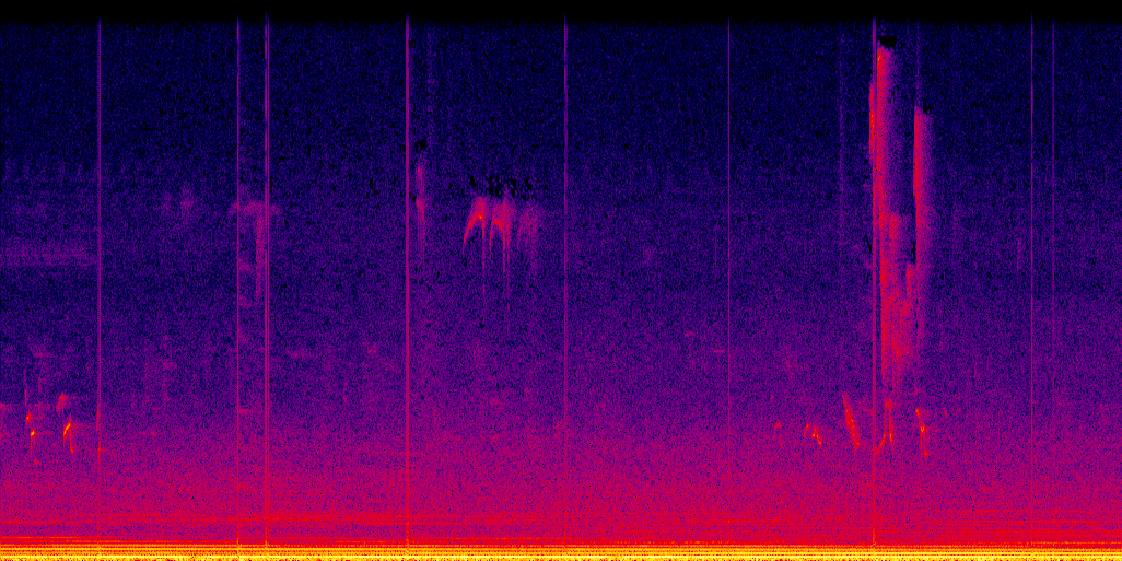 spectrogram