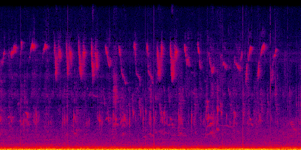 spectrogram