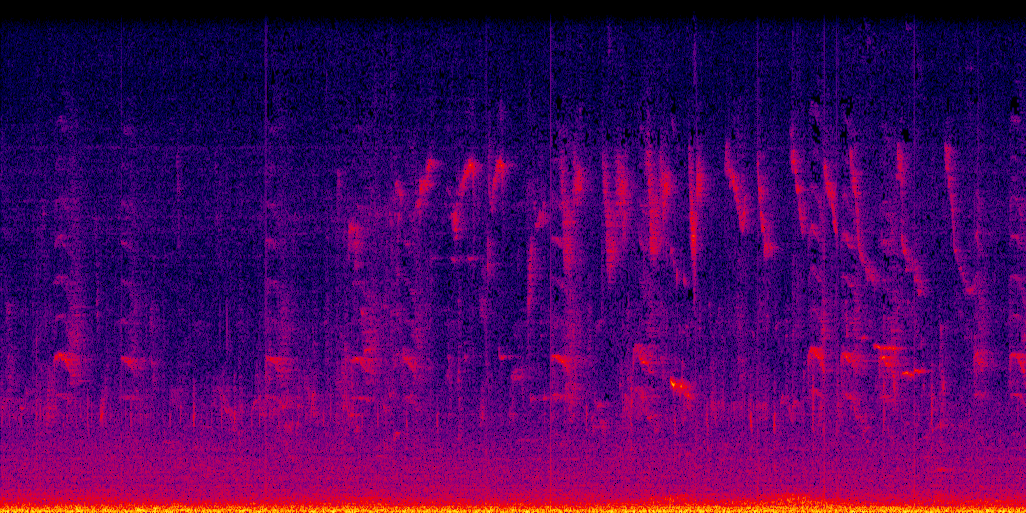 spectrogram