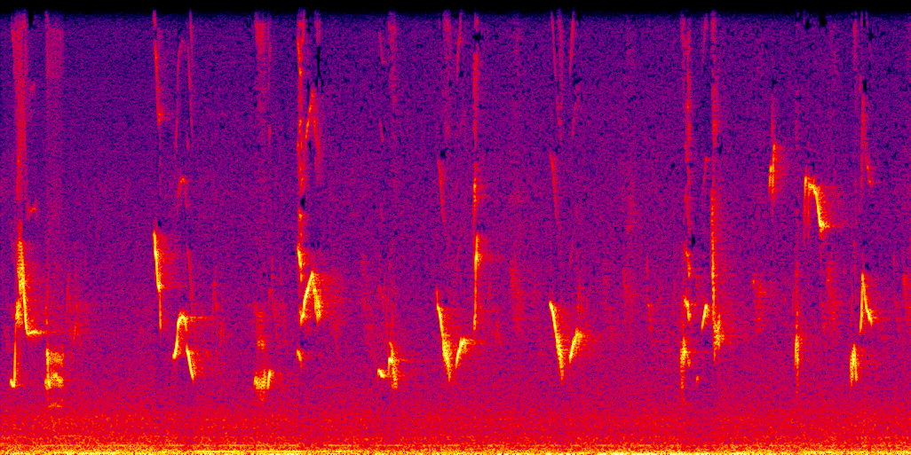 spectrogram