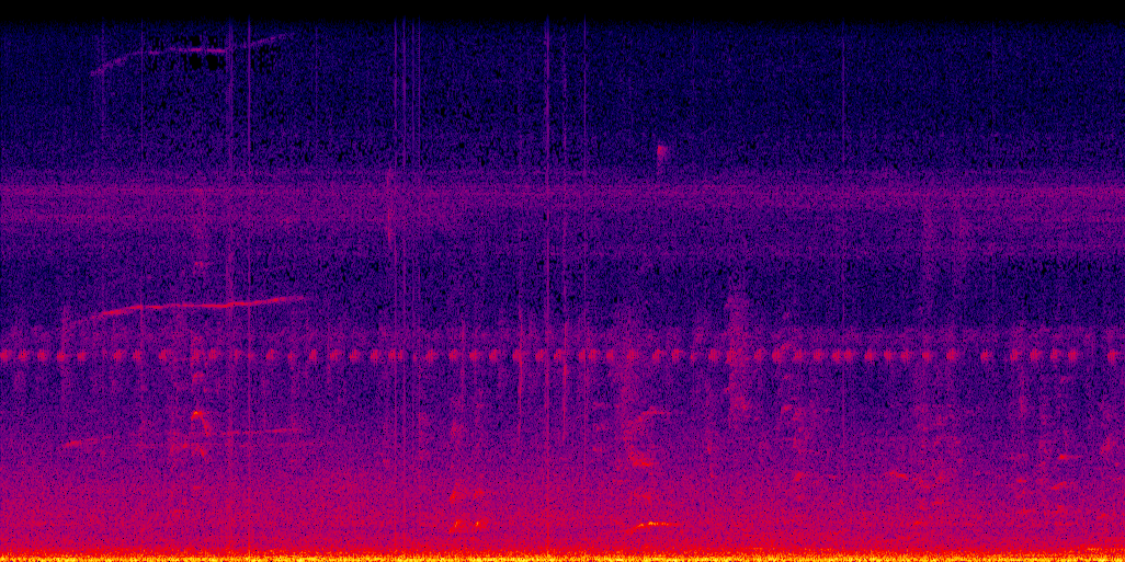 spectrogram
