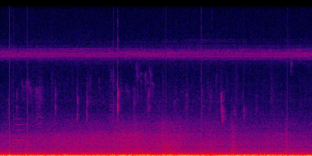 spectrogram