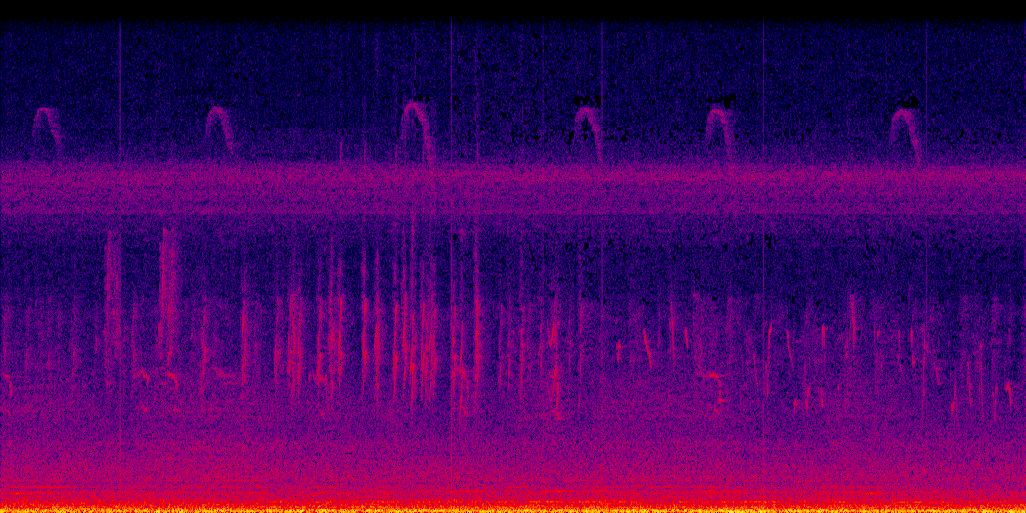 spectrogram