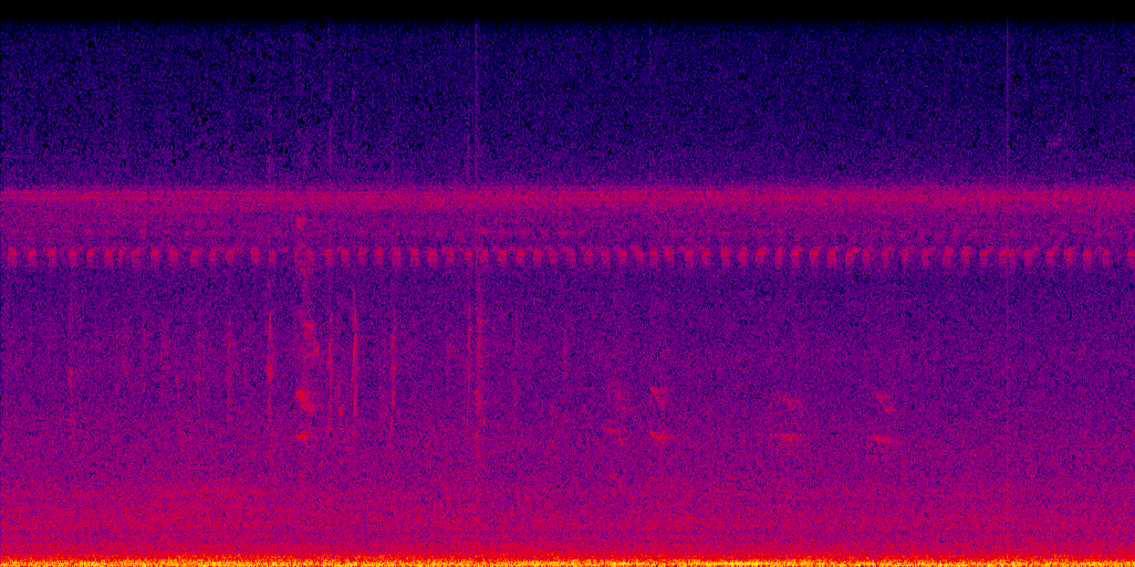 spectrogram