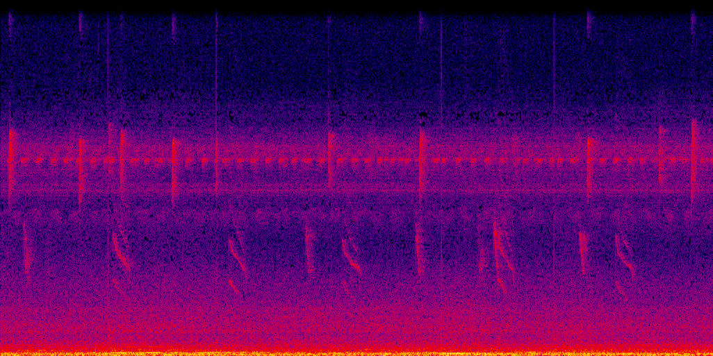 spectrogram