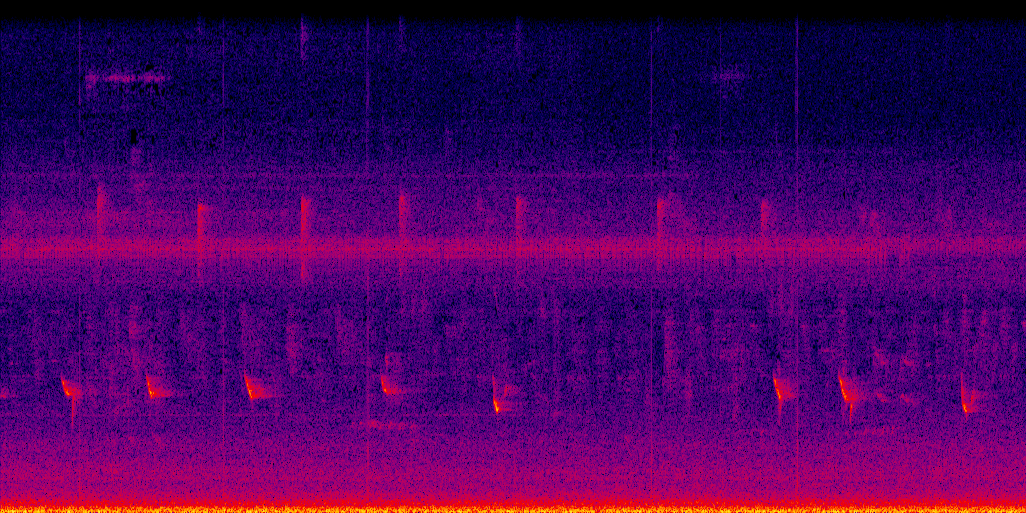 spectrogram