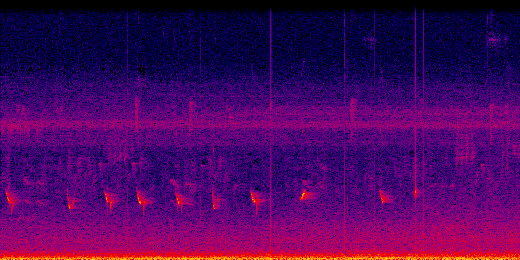 spectrogram