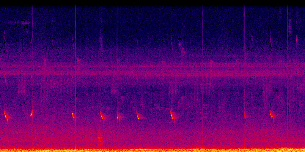 spectrogram
