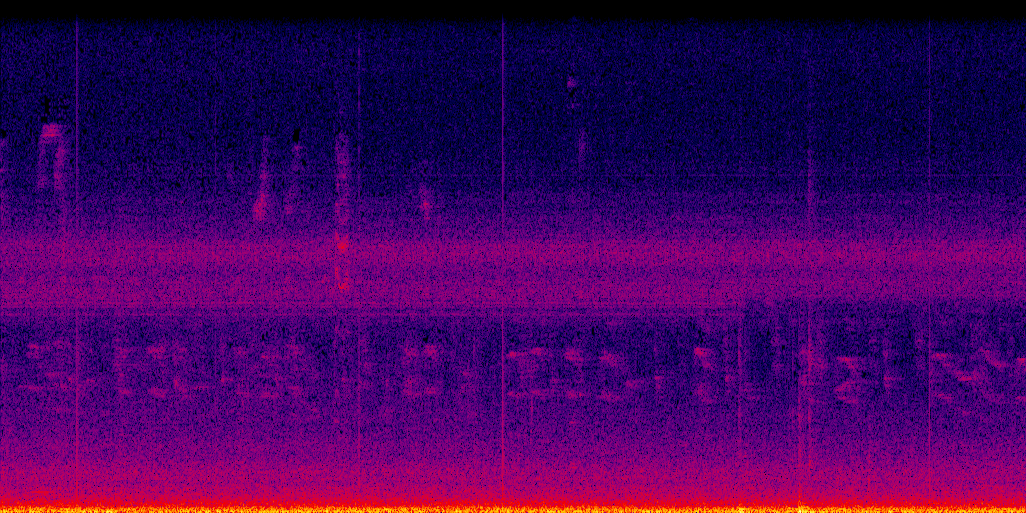 spectrogram