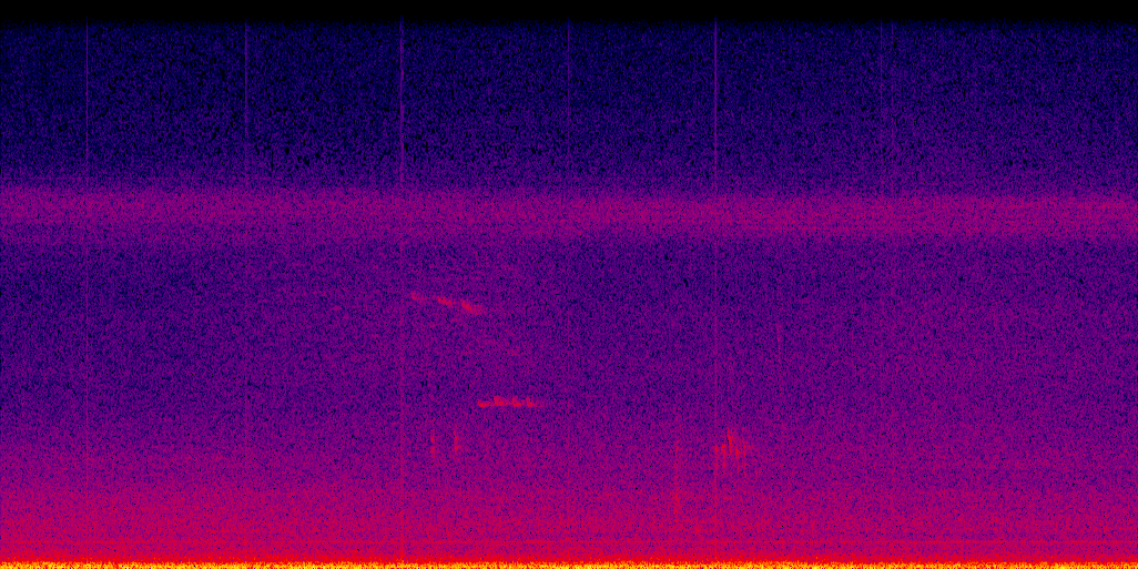 spectrogram