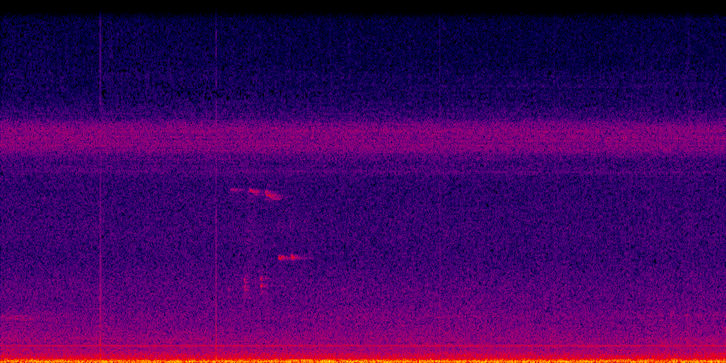 spectrogram