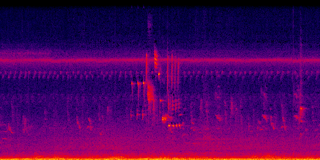 spectrogram