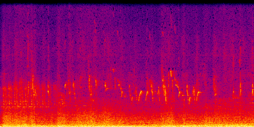 spectrogram