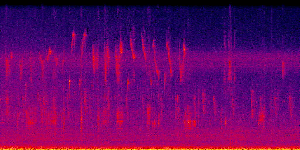 spectrogram