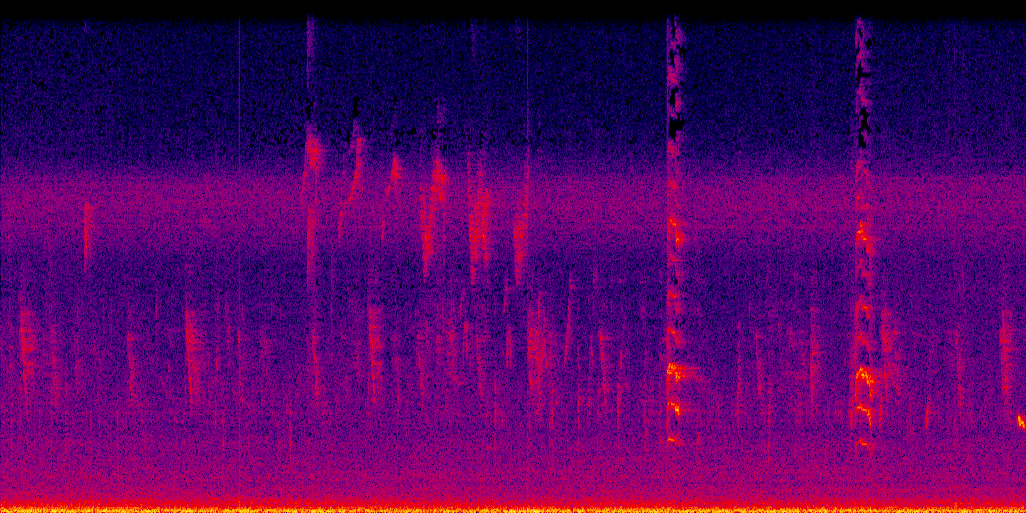 spectrogram