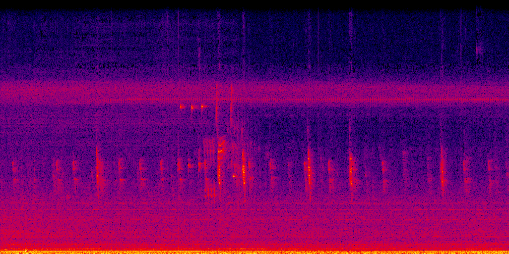 spectrogram