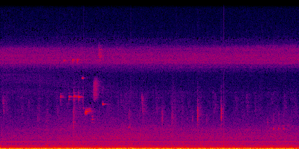 spectrogram