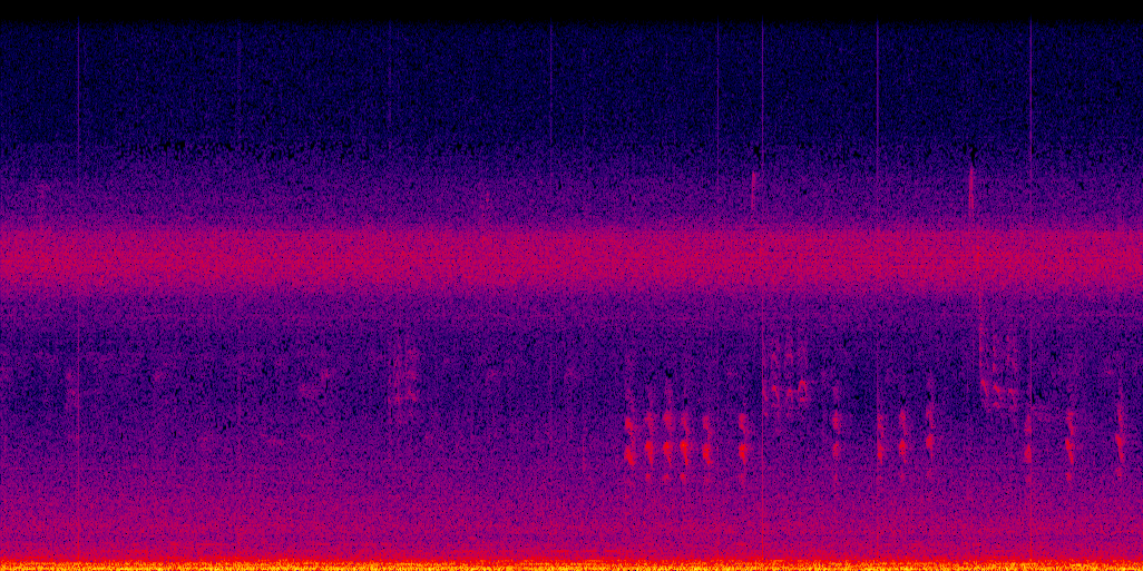 spectrogram